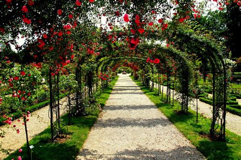 Jardins de la Roseraie: Um Santuário Floral com Aromas Envolventes em Fontenay-aux-Roses!