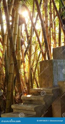  A Floresta de Bambu Dourada: Um Tesouro Verde Escondido na Natureza Selvagem da China!