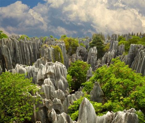 A Floresta de Pedra Misteriosa: Uma Jornada Geológica Impressionante!