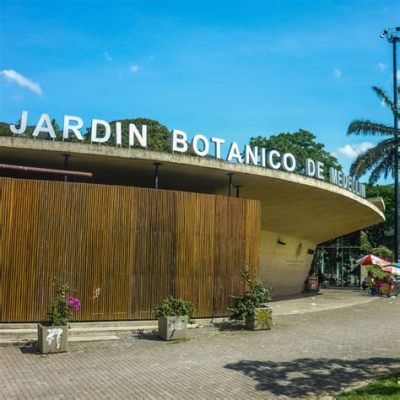 Jardim Botânico de Medellín! Uma Oásis Verde em Meio à Cidade Vibrante