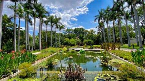 Jardín Botánico de Culiacán: Um Refúgio Tropical para Explorar em Culiacán!